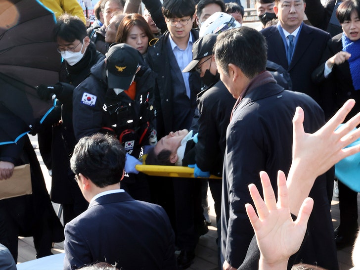south korea politician gets stabbed