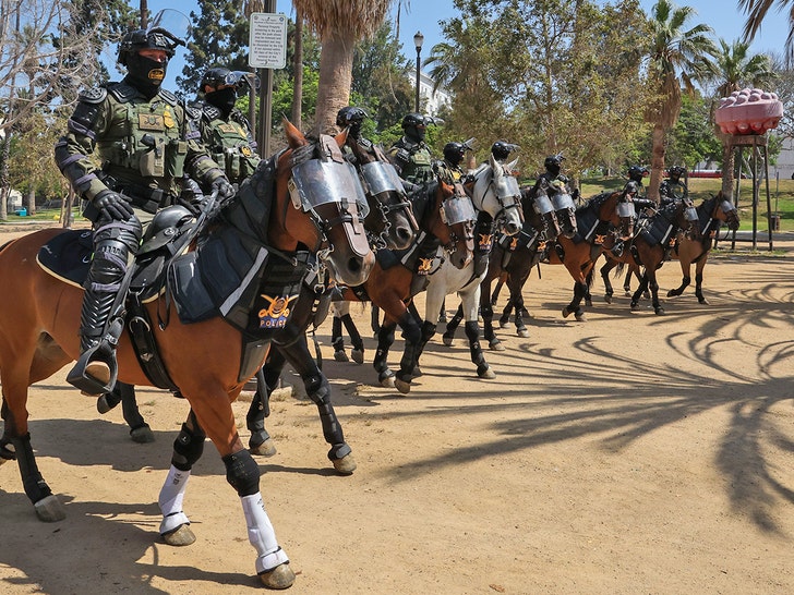 Federal Agents Sweep MacArthur Park in Surprise Border Patrol Operation