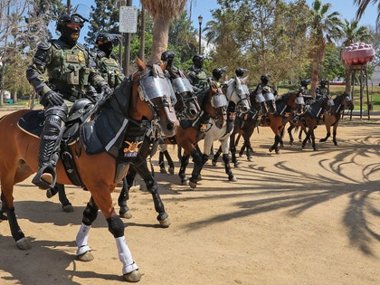 border patrol invades macarthur park  shutterstock 2