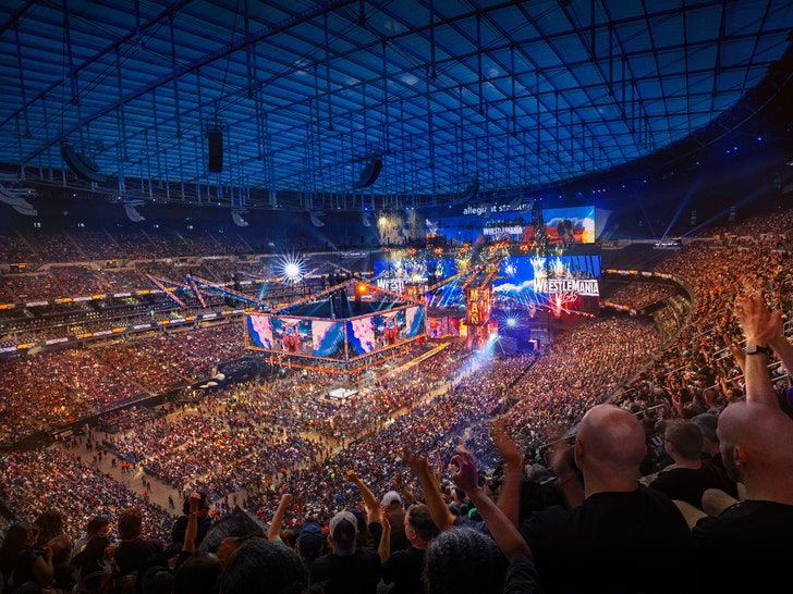 wrestlemania arena WWE
