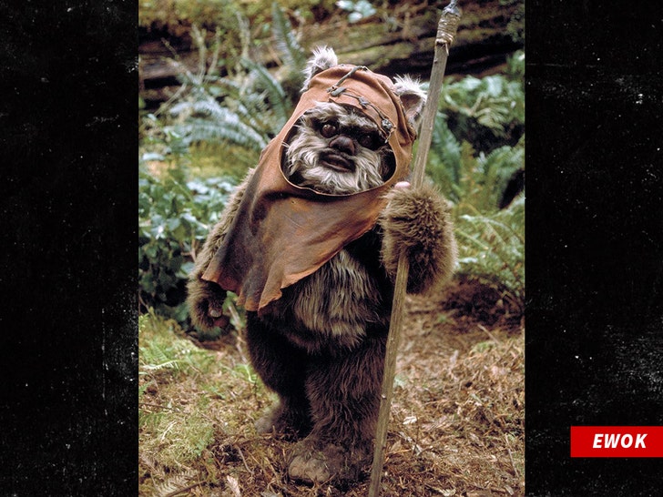 ewok star wars alamy 2