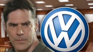 Thomas Gibson -- Looking for Cars in Audi Wrong Places