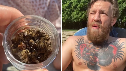 Here's video of Conor McGregor eating bees straight out of a jar!