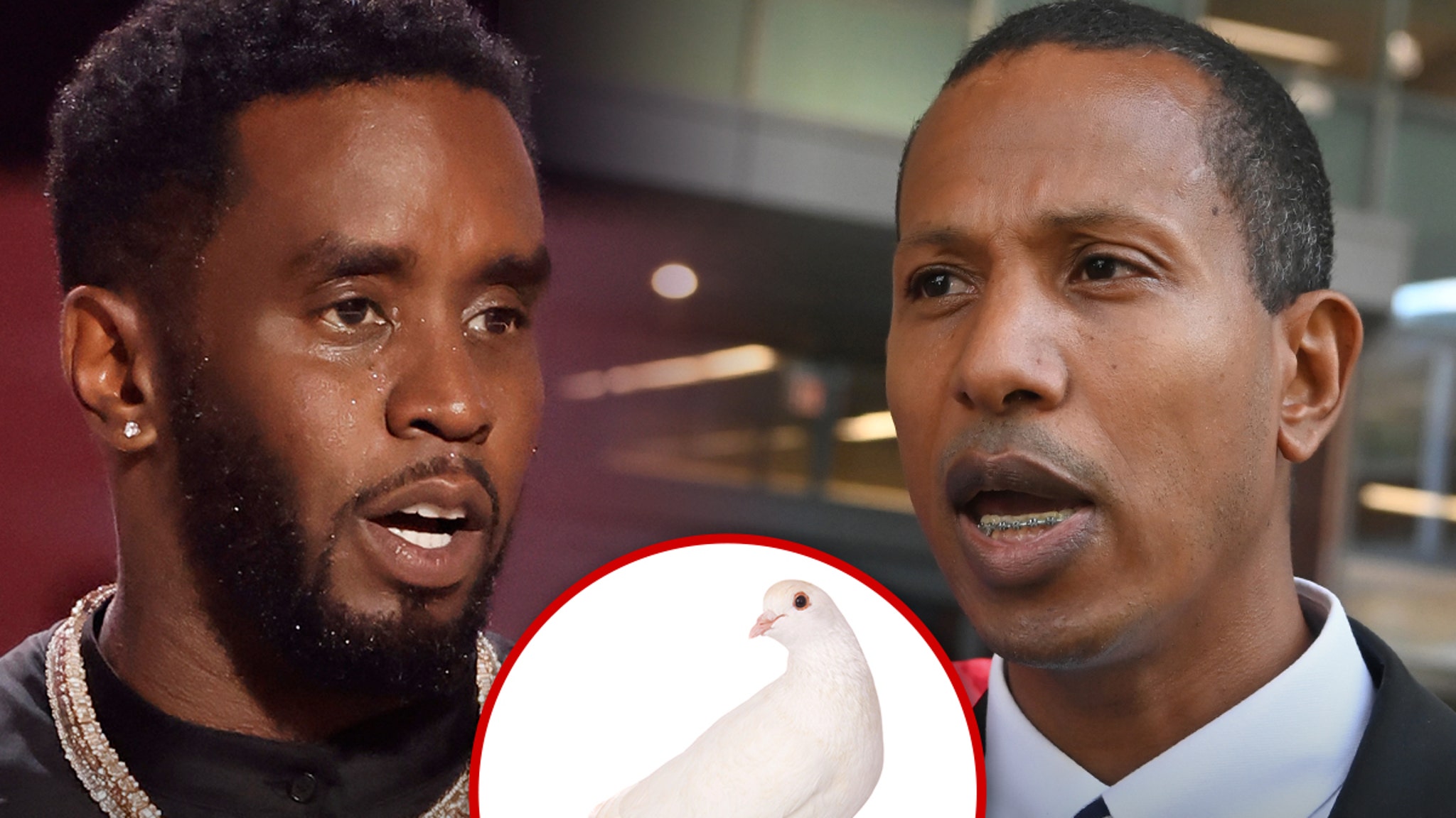 Diddy Sacrificed Bird Before Shyne Shooting Verdict, Former Bodyguard Claims