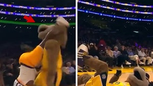 LA Sparks mascot kicked in face