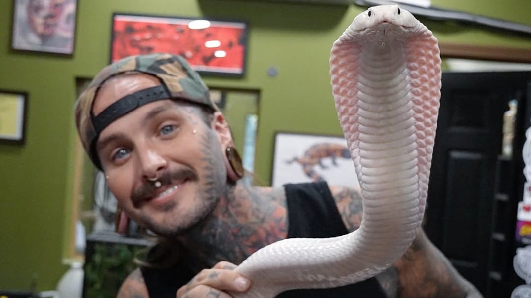 0115-Tyler-Nolan-Through-The-Years-PRIMARY