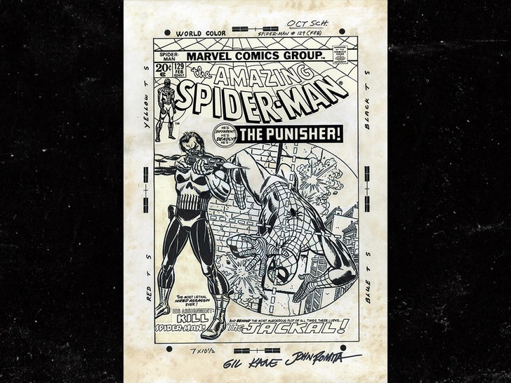 1012 spiderman punisher cover comicconnect 01