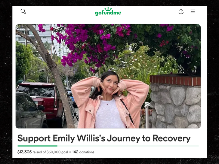Emily Willis main gofundme
