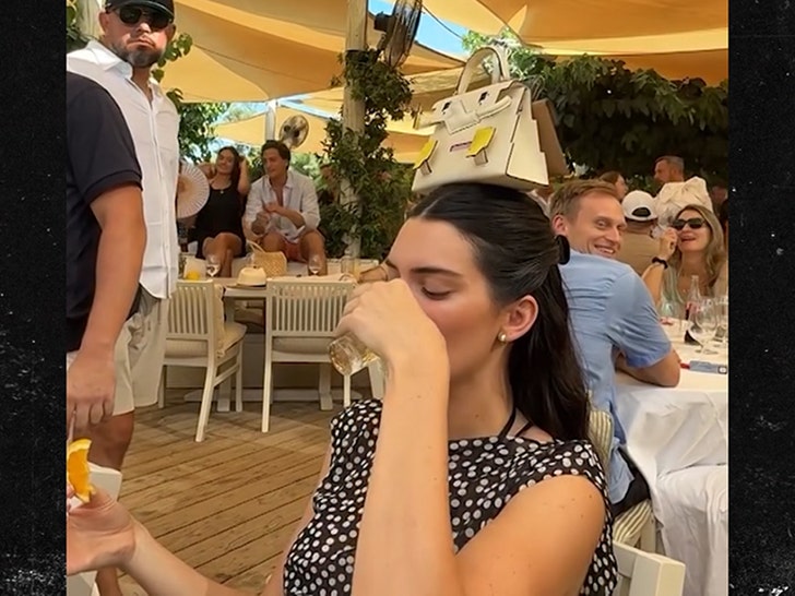 070625-kendall-jenner-bag-v2