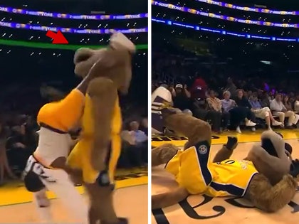 LA Sparks mascot kicked in face
