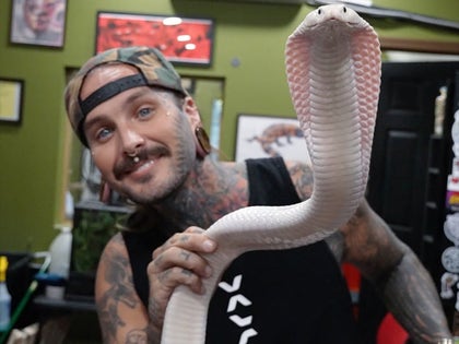 0115-Tyler-Nolan-Through-The-Years-PRIMARY