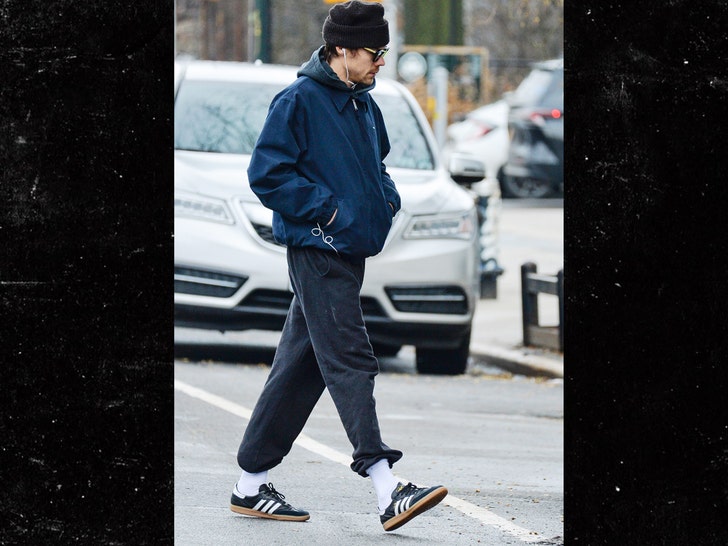 Harry Styles and Zoe Kravitz out in NYC The Image Direct