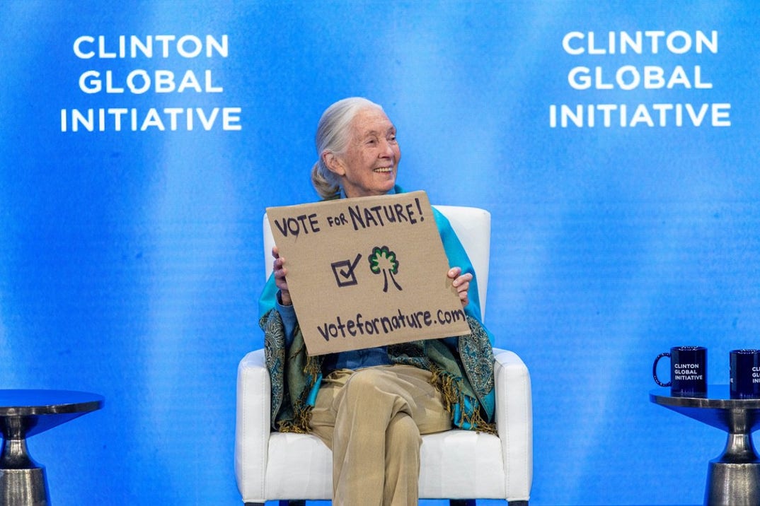 Remembering Jane Goodall 8