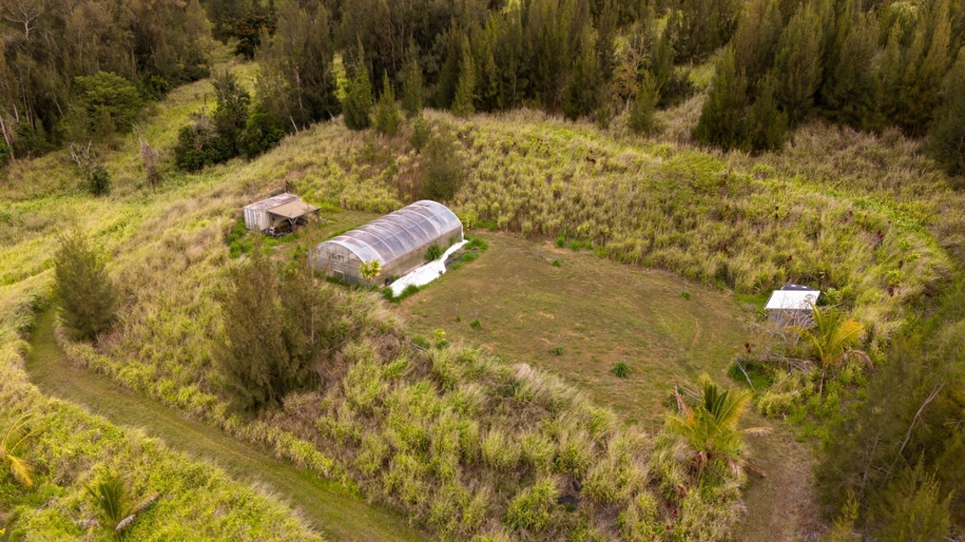 Roseanne Barr Home 10