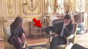 French President Macron's Dog Pees During Meeting