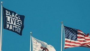 SF 49ers Fly Black Lives Matter Flag At Levi's Stadium, 'Justice For All'