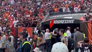 Fan Arrested For Throwing Bottle At Browns Owner Jimmy Haslam During Game