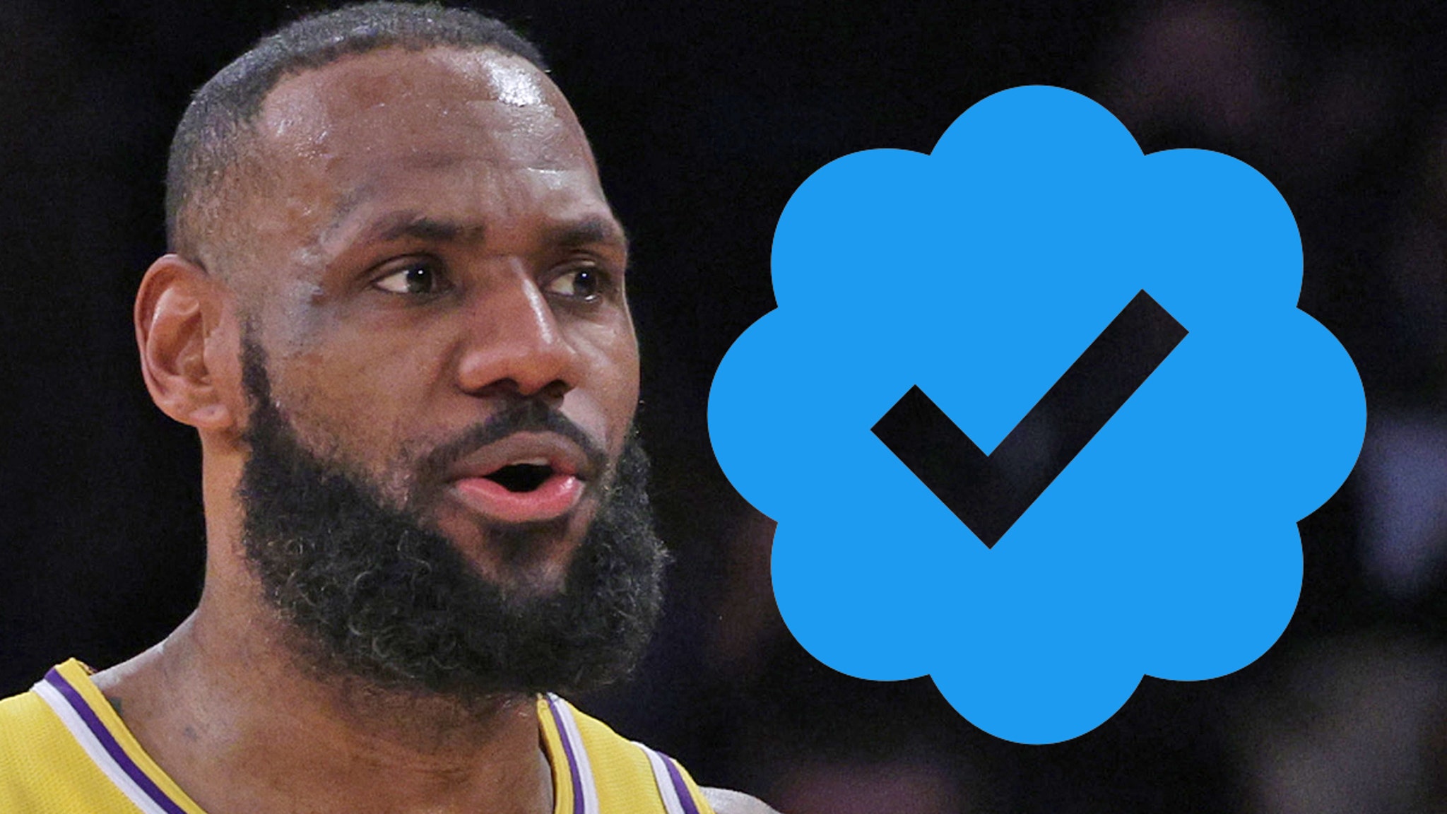 LeBron James shows the world he's just like us, refuses to pay $8 a month  for Twitter verification