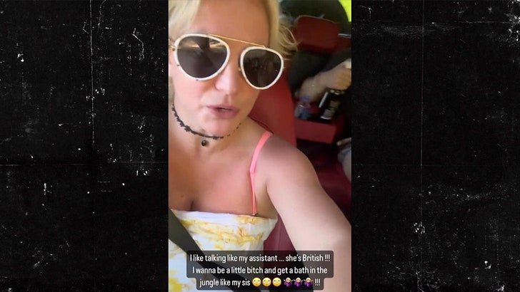 Britney Spears Calls Sister Jamie Lynn 'Bitch' in Rambling Car Video