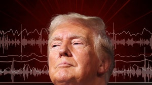 0916-donald-trump-TMZ-audio-art-primary-1