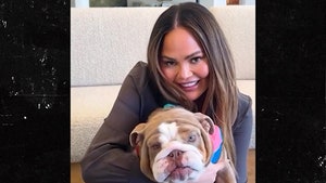 032325-chrissy-teigen-primary