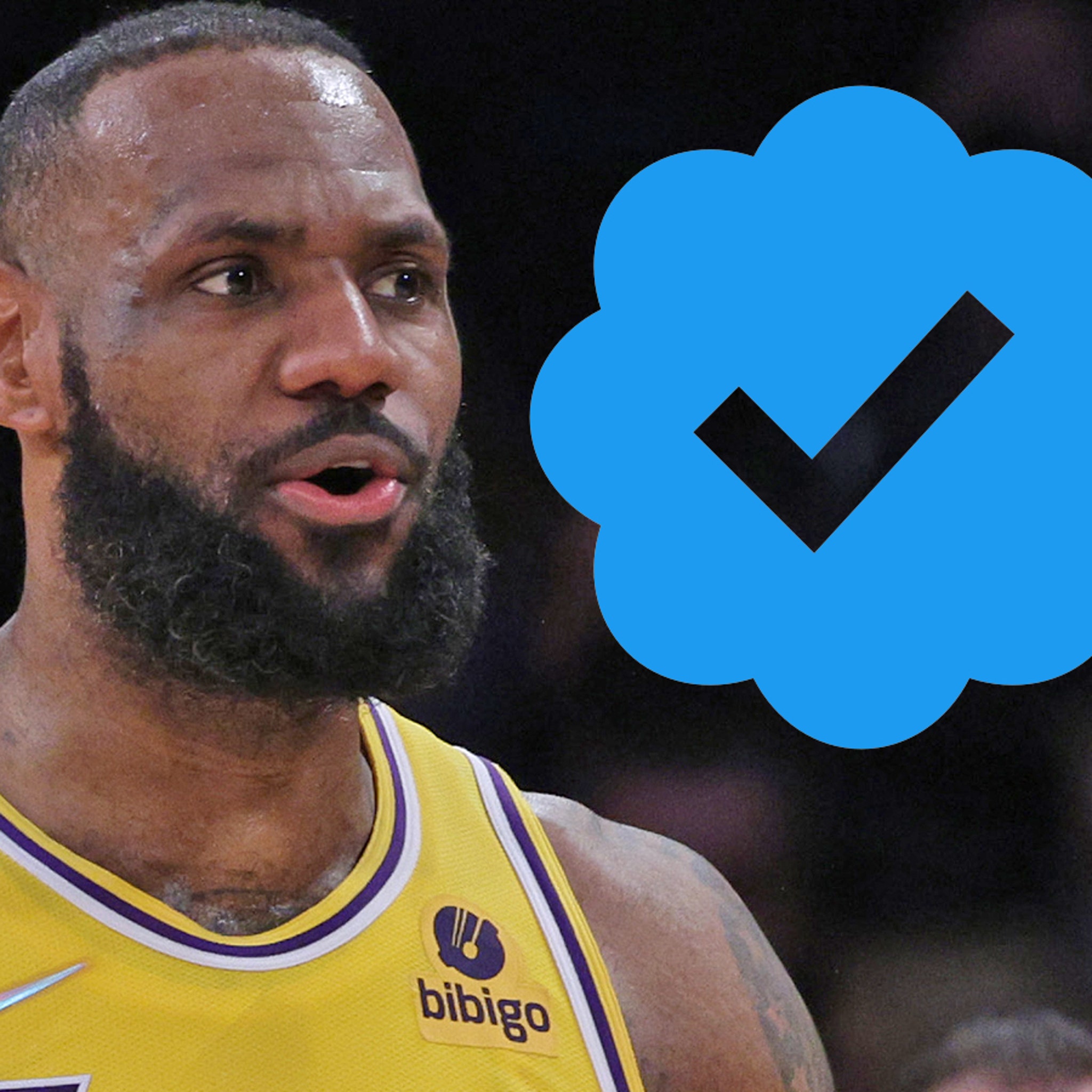 LeBron James Says He's Too Cheap To Pay For Twitter Blue Check