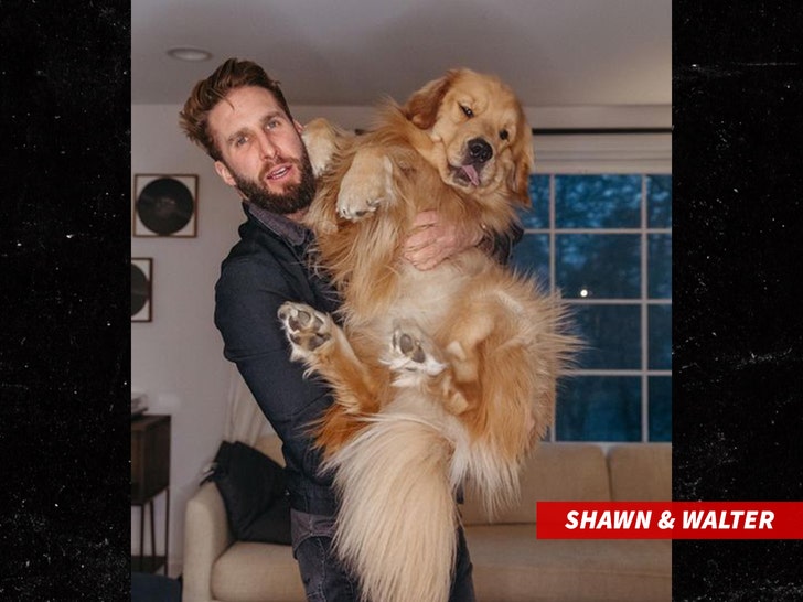 shawn booth and walter