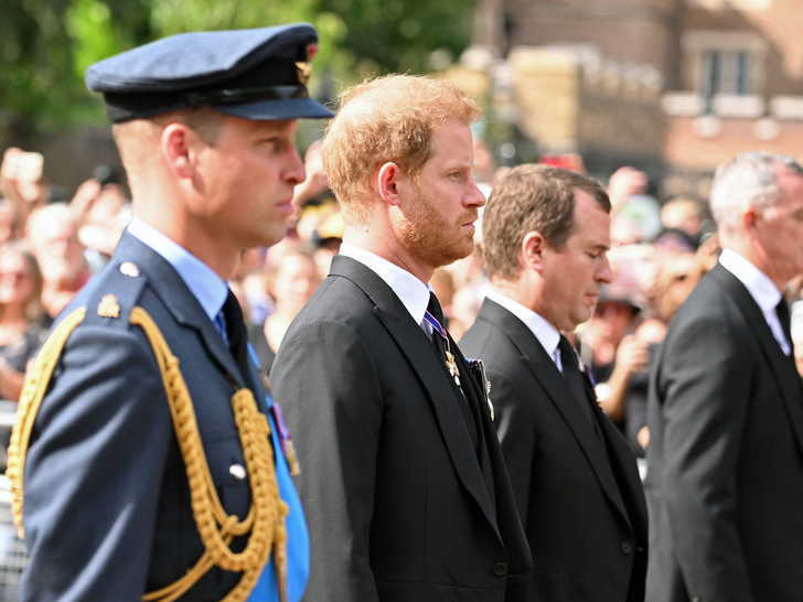Harry and William Walk Behind Queen Elizabeth's Casket