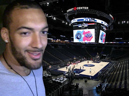 rudy gobert, timberwolves