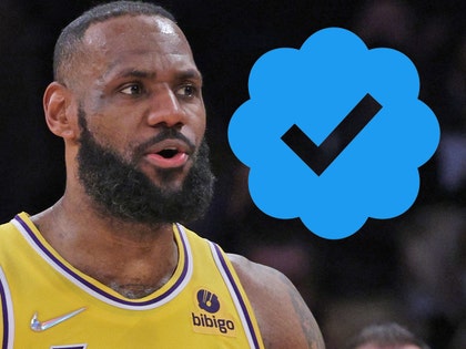 lebron james twitter checkmark getty