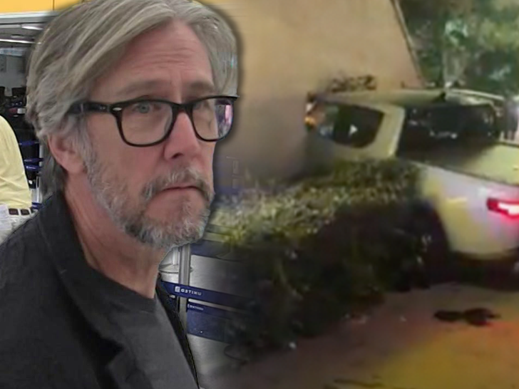 Alan Ruck accident main