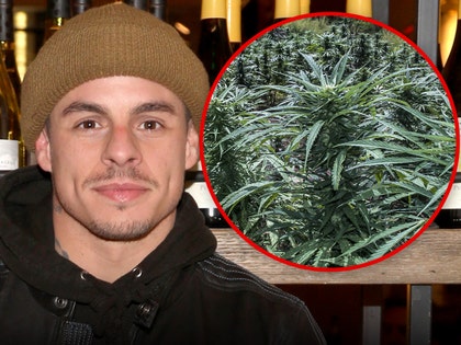 casper smart house search warrant marijuana