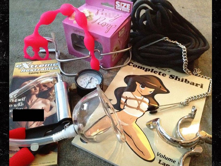 Jeffrey Epstein's Freaky Sex Toys Seen in New Photo Dump 1 jeffrey epstein sex toys House Oversight Committee Democrats