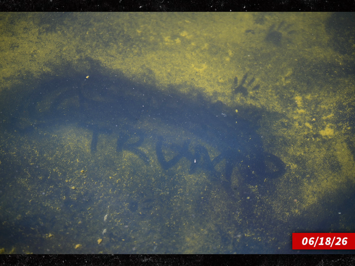 sub reflecting pool algae trump getty