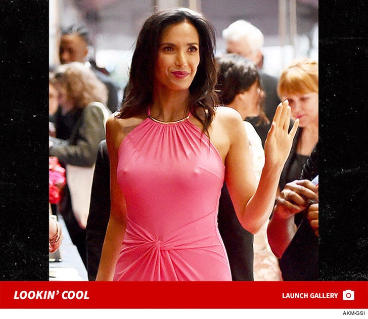 'Top Chef' Star Padma Lakshmi Wins Chilly Competition in Nipply Dress