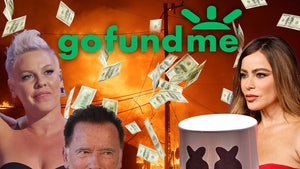 marshmello arnold schwarzenegger pink sofia vergara gofundme donation fire main getty