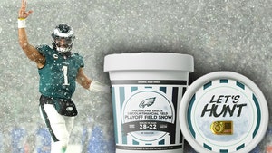 eagles snow game snow