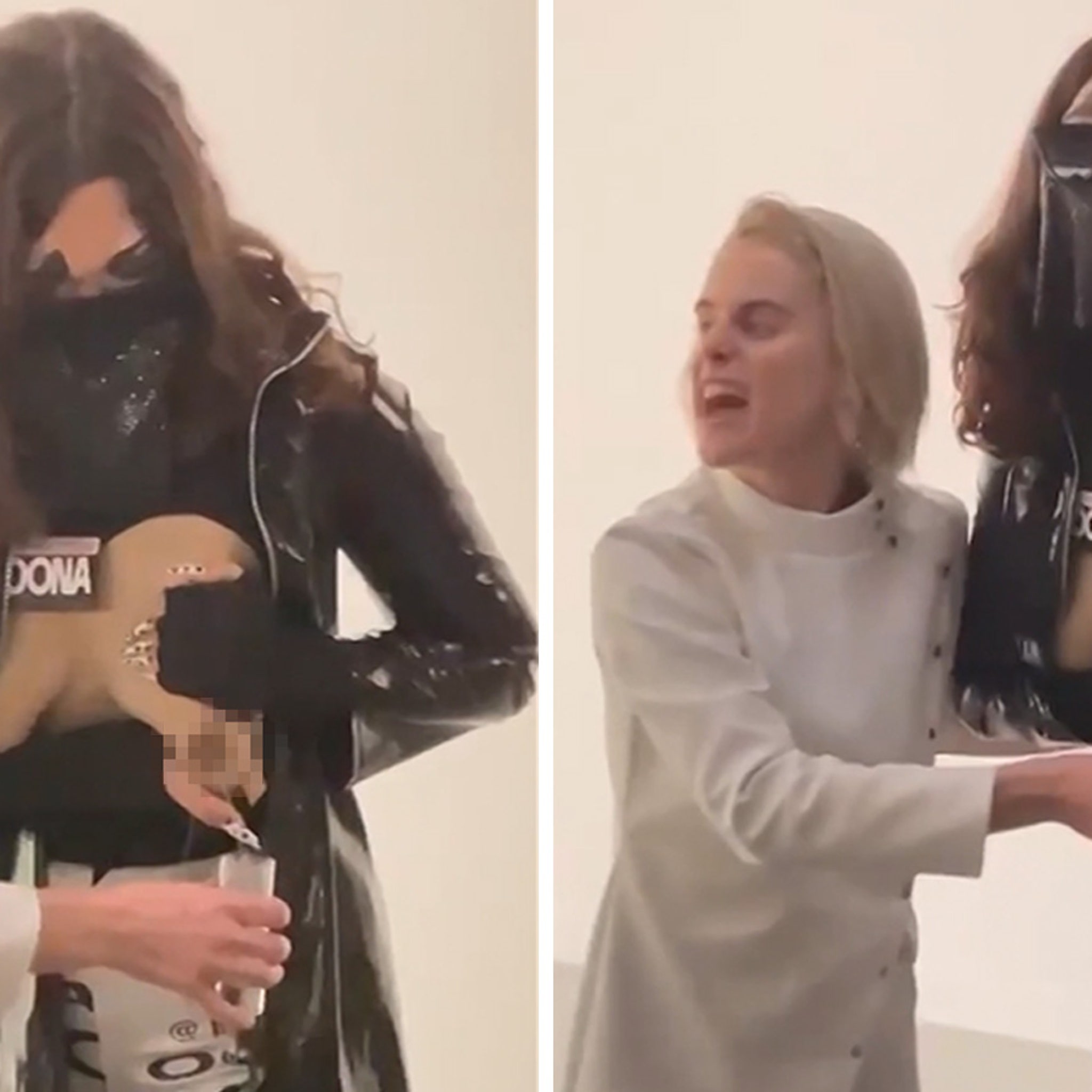 Artists Perform Live Breast Milking At Art Basel, Removed from Event