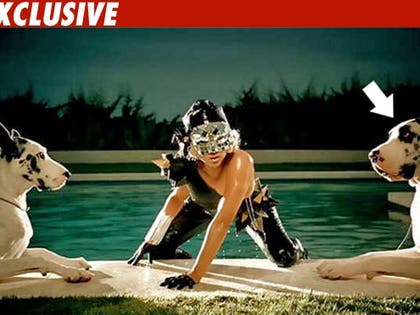 Lady Gaga Music Video Star Found Dead