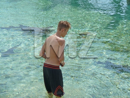 justin_bieber_swimming_sharks_photos_0112