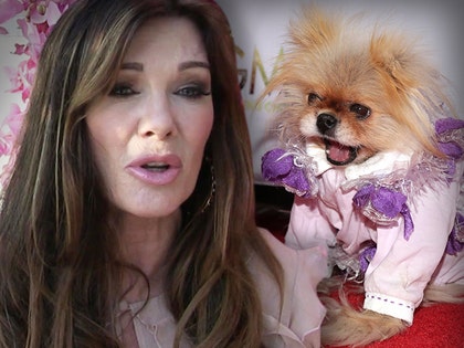 0912-lisa-vanderpump-tmz-getty-05