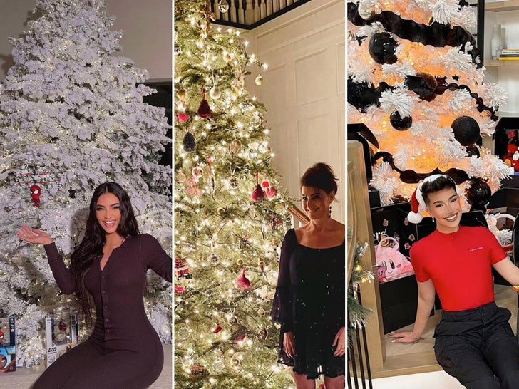 Celebrity Christmas Trees 2021