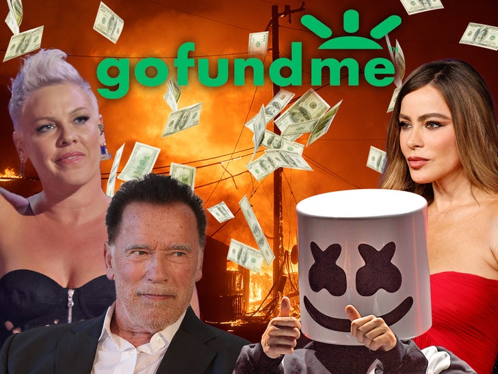 marshmello arnold schwarzenegger pink sofia vergara gofundme donasi api getty utama