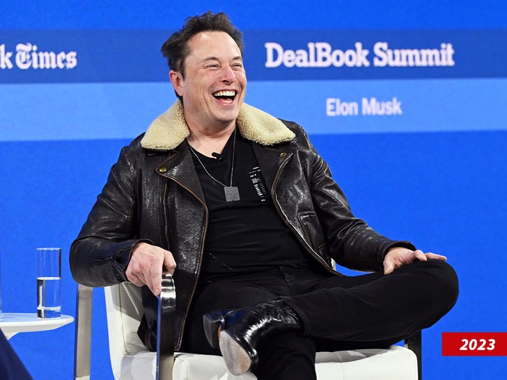 Elon Kasturi Sub -getty Swipe
