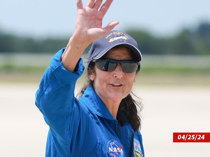 suni williams sub getty 3