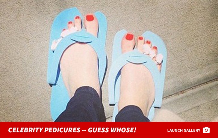 Hollywood Hoofs -- Guess Whose Pedicured Pics!