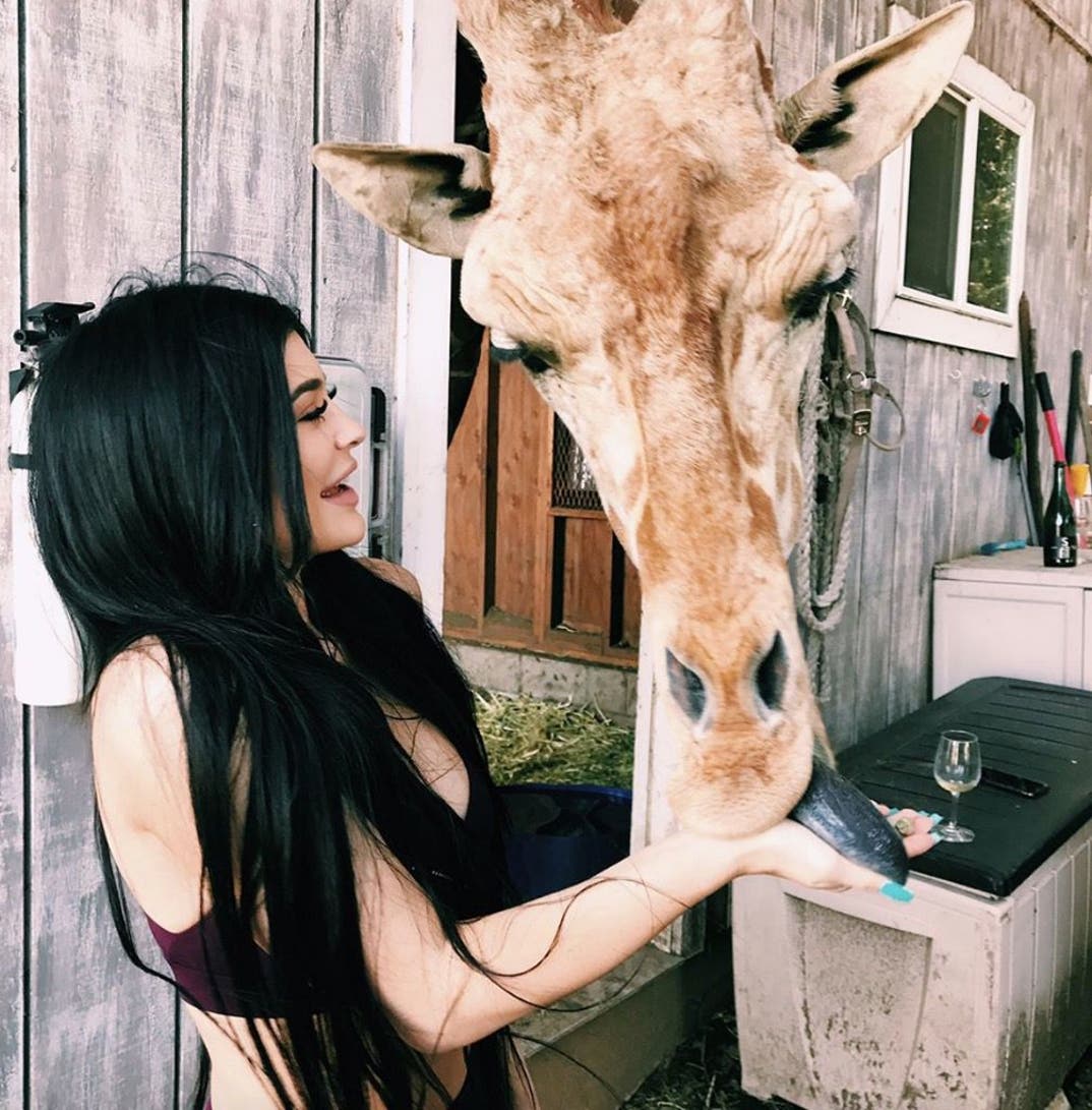 Kylie Jenner