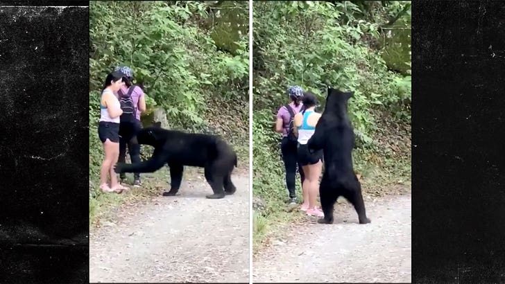 Woman Takes Selfie With Wild Black Bear In Insanely Close Encounter
