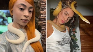 Stars-With-Snakes-hero