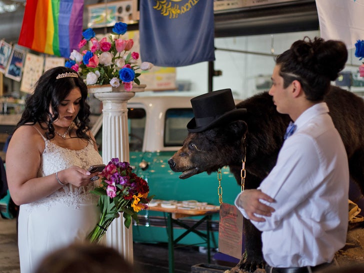 कोकीन भालू की शादी